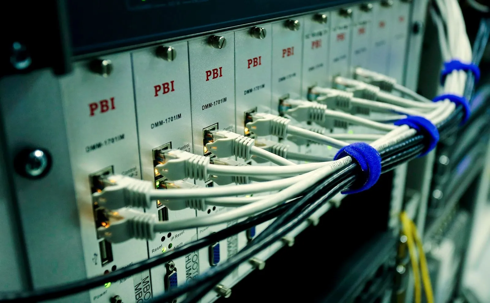 Network cables connected to a patch panel.