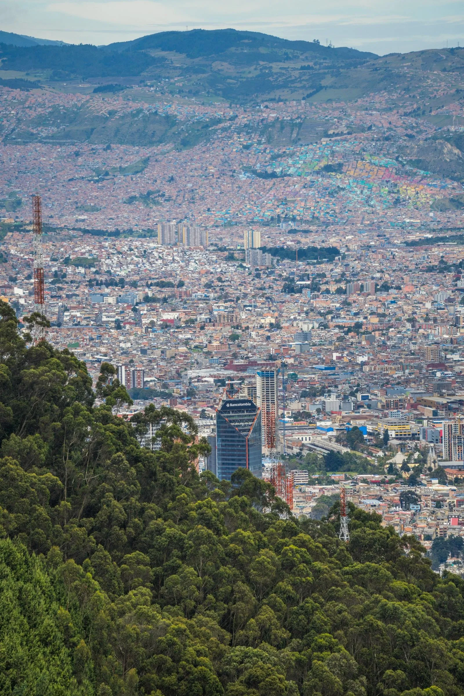 Bogotá seen from a forested overlook.